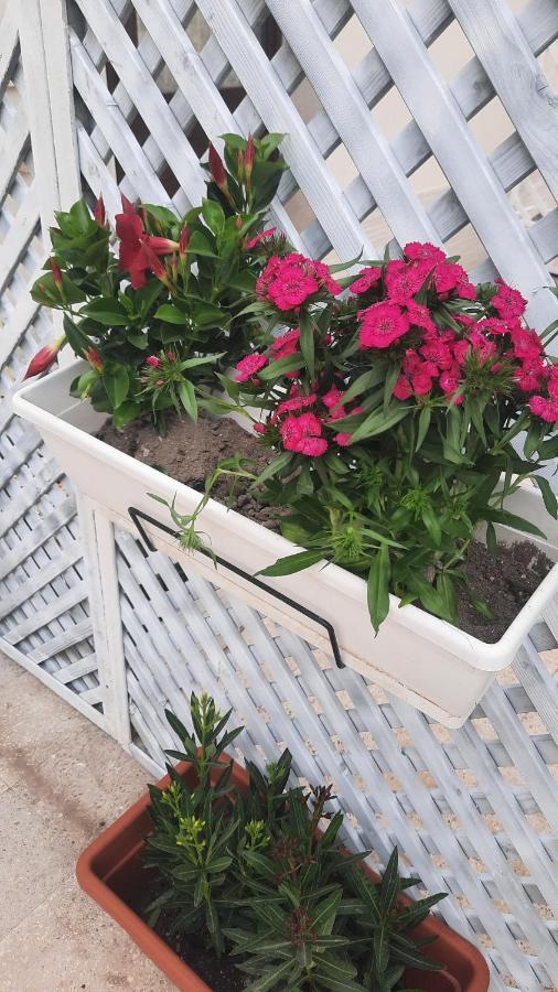 Casacecilia Relax Otel Siraküza Dış mekan fotoğraf